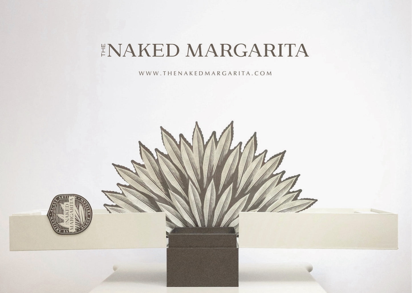 Agave Fan Presentation Box