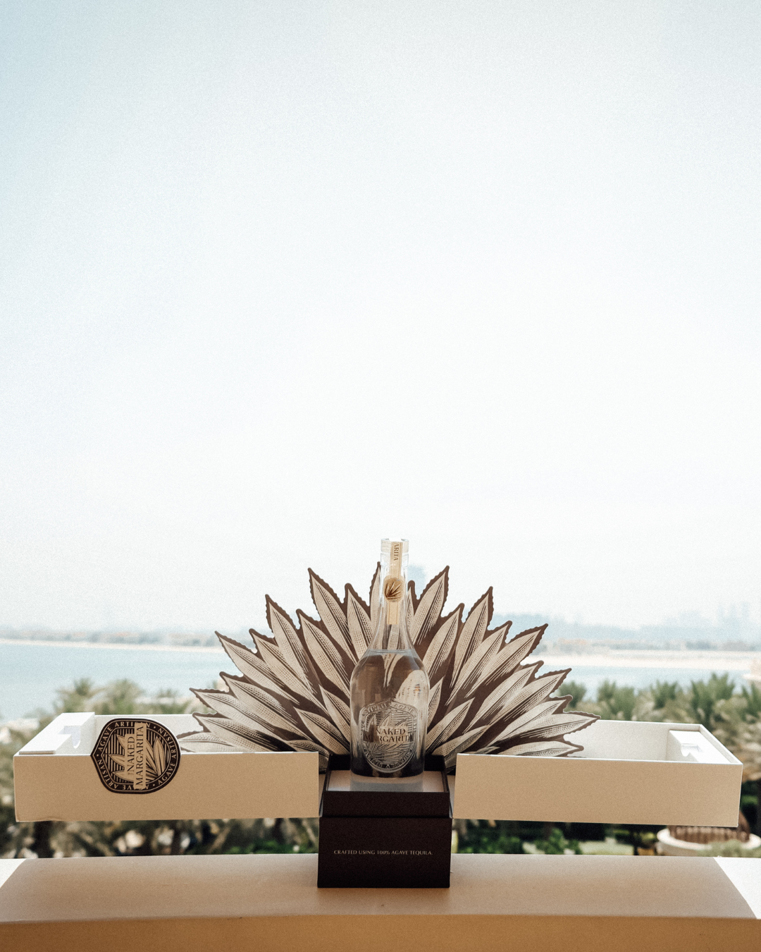 Agave Fan Presentation Box